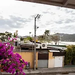 Flor Do Leste